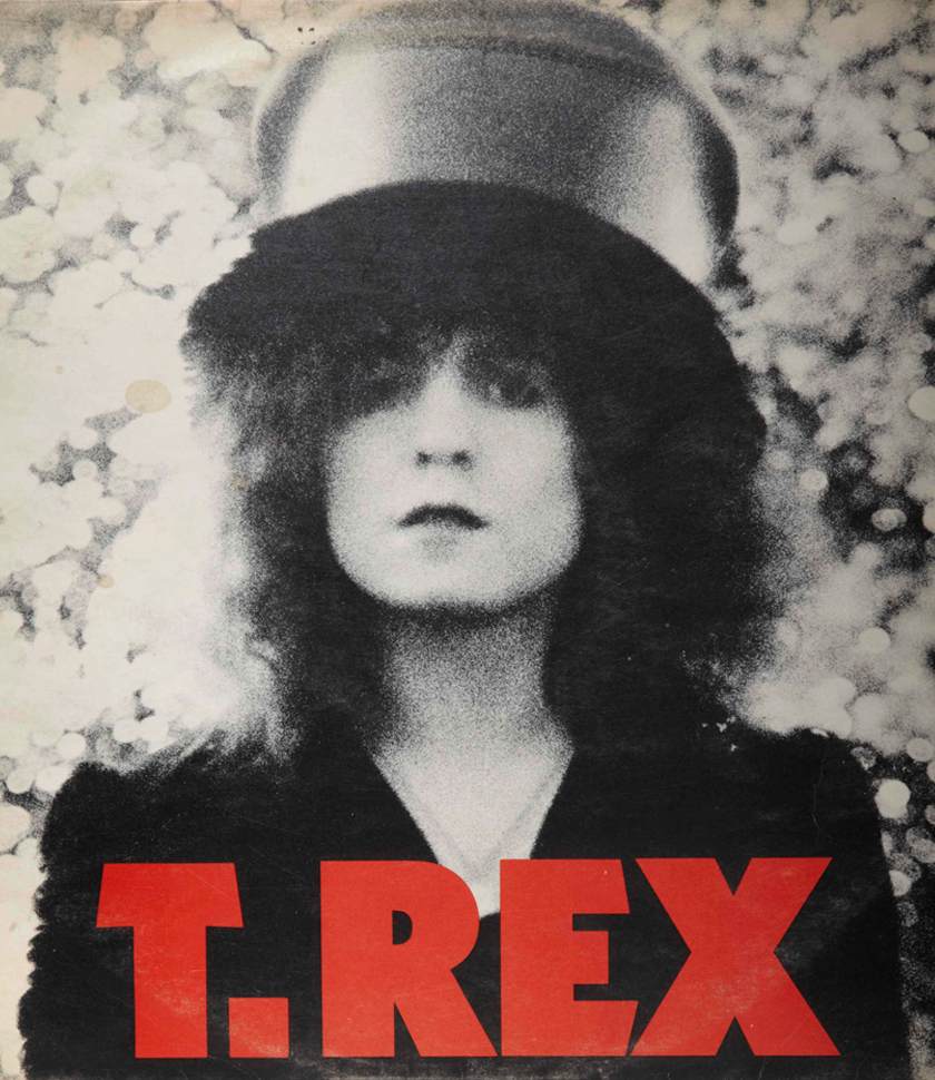 T Rex photo